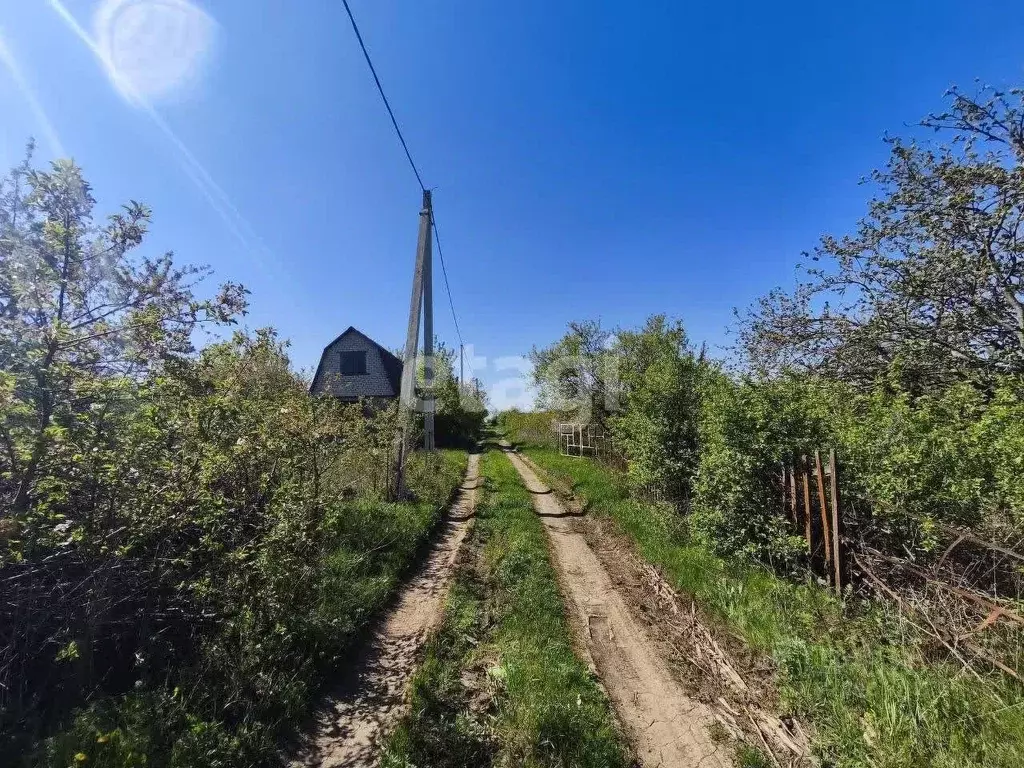Участок в Белгородская область, Корочанский район, Мелиховское с/пос, ... - Фото 1