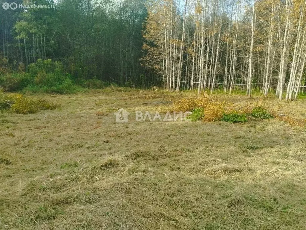 Участок в Мшинское сельское поселение, деревня Тозырево (15 м) - Фото 2