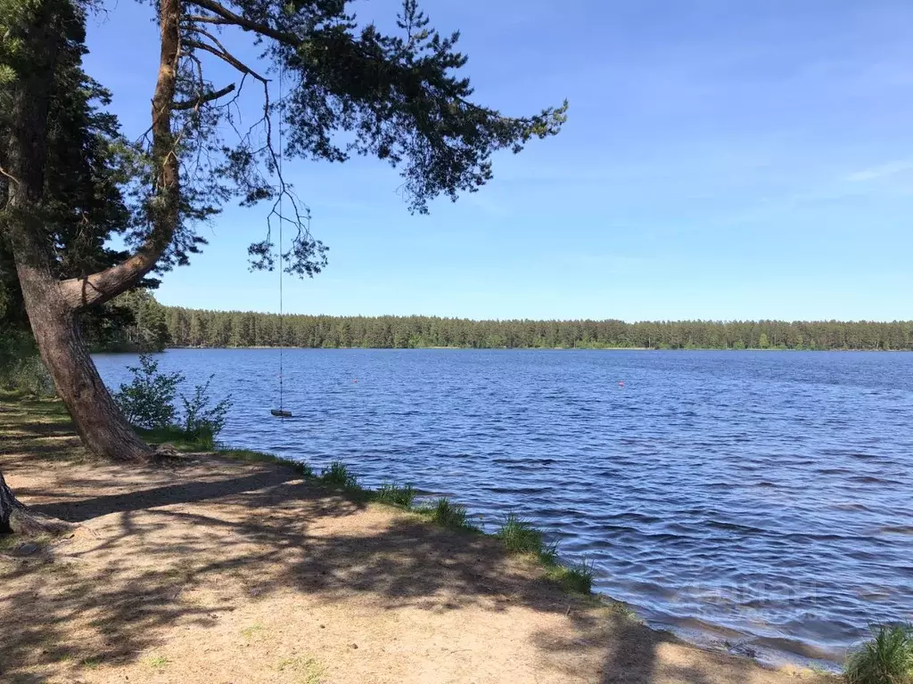Дом в Ленинградская область, Приозерский район, Ларионовское с/пос, ... - Фото 2