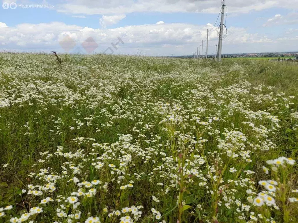 Участок в Хадыженск, территория Горный Сад (180 м) - Фото 2