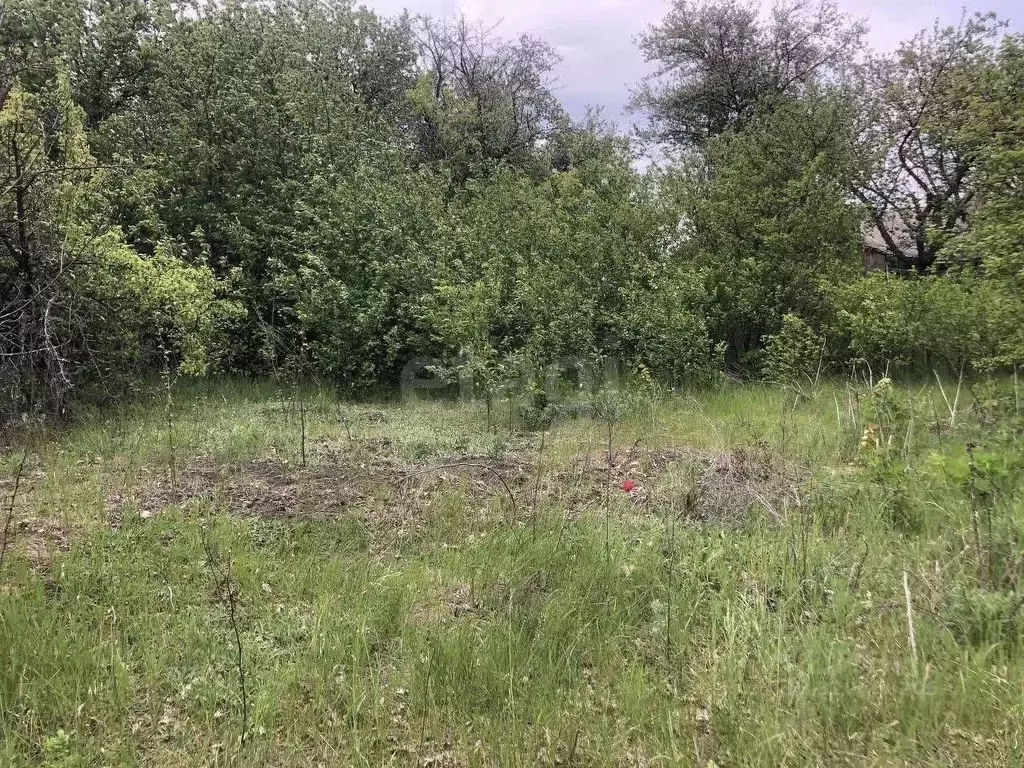 Участок в Белгородская область, Белгородский район, с. Стрелецкое, ... - Фото 1