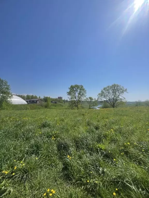 1-к кв. Ленинградская область, Никольское Тосненский район, ... - Фото 2