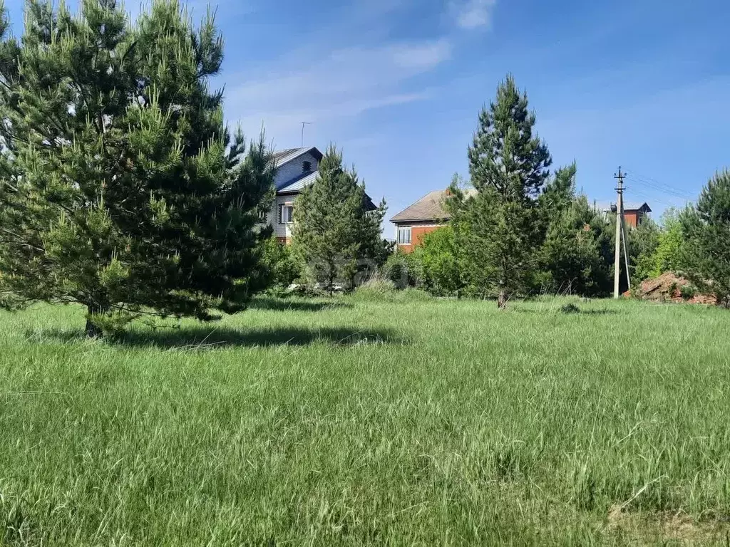 Участок в Алтайский край, Бийск городской округ, с. Фоминское пер. ... - Фото 1