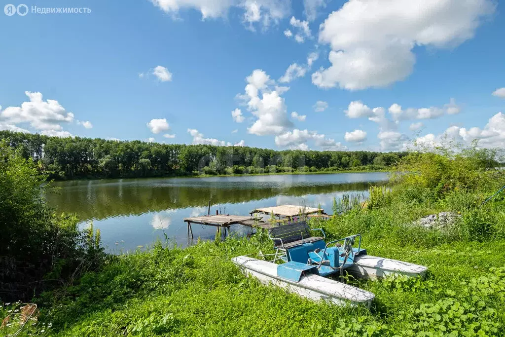 Дом в Искитимский район, Чернореченский сельсовет, посёлок Рощинский ... - Фото 1
