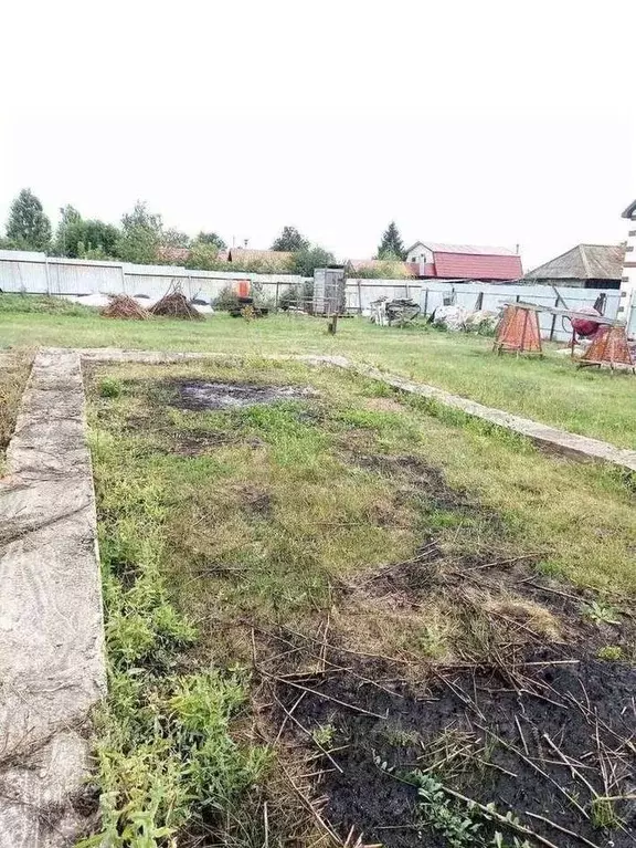 Участок в Самарская область, Кинельский район, Домашка с/пос, с. ... - Фото 2