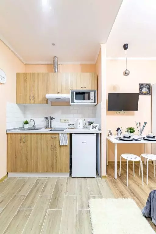 1-к кв. Московская область, Одинцово ул. Сколковская, 1Б (18.0 м) - Фото 1