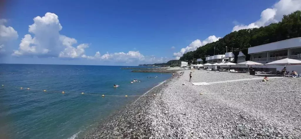 Комната Краснодарский край, Сочи Совет-Квадже мкр, ул. Сибирская, 6/4 - Фото 1