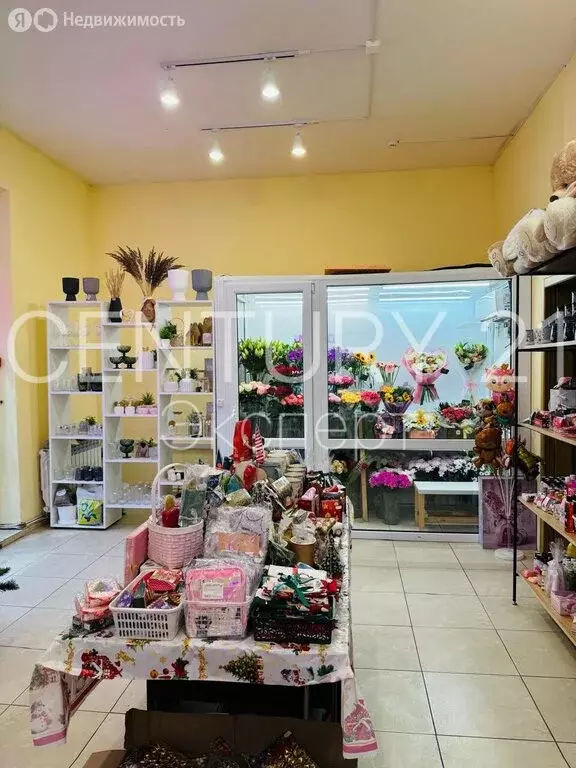 Помещение свободного назначения (43.2 м) - Фото 2