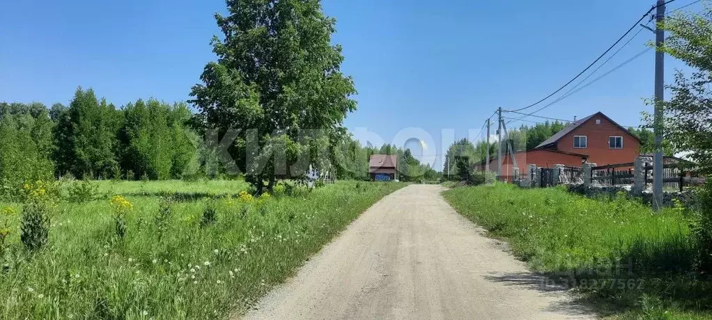 Участок в Новосибирская область, Искитимский район, Морозовский ... - Фото 0