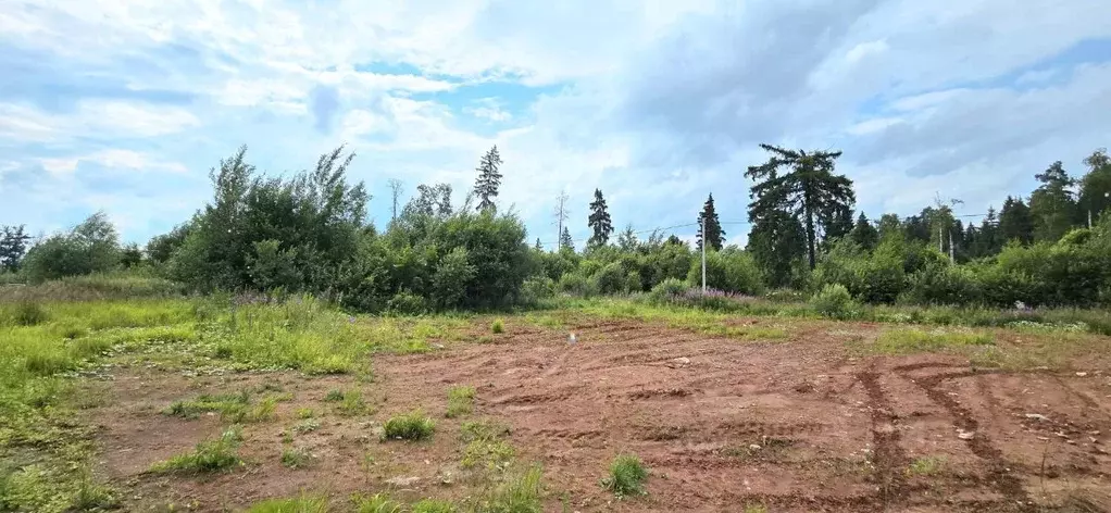 Участок в Московская область, Наро-Фоминский городской округ, ... - Фото 2