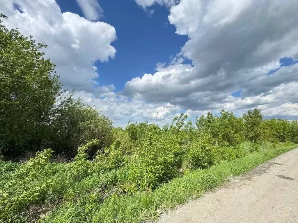 Участок в Свердловская область, Талица ул. Микоян, 1 (955.0 сот.) - Фото 1