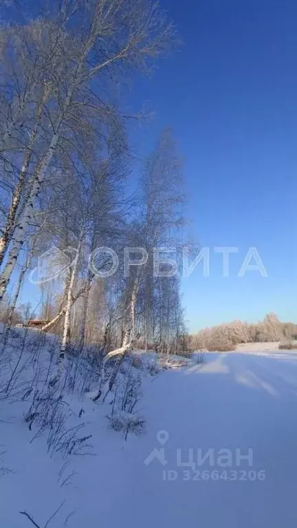 Участок в Тюменская область, Тюменский муниципальный округ, д. ... - Фото 1