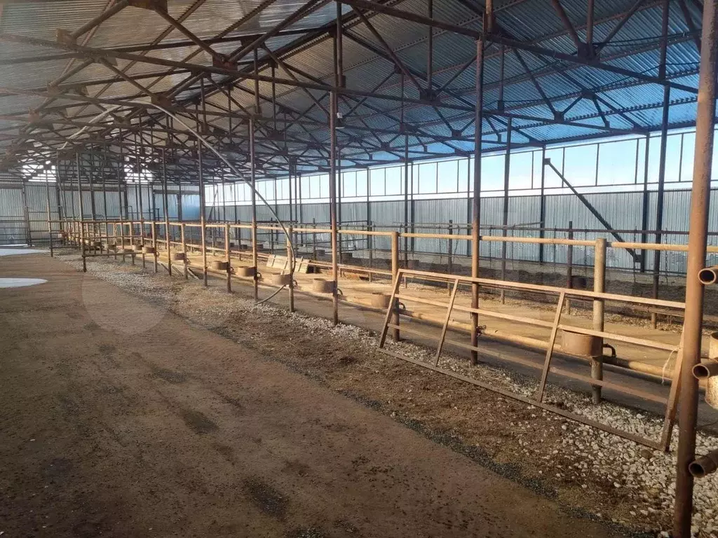 Склад 850м - Фото 1