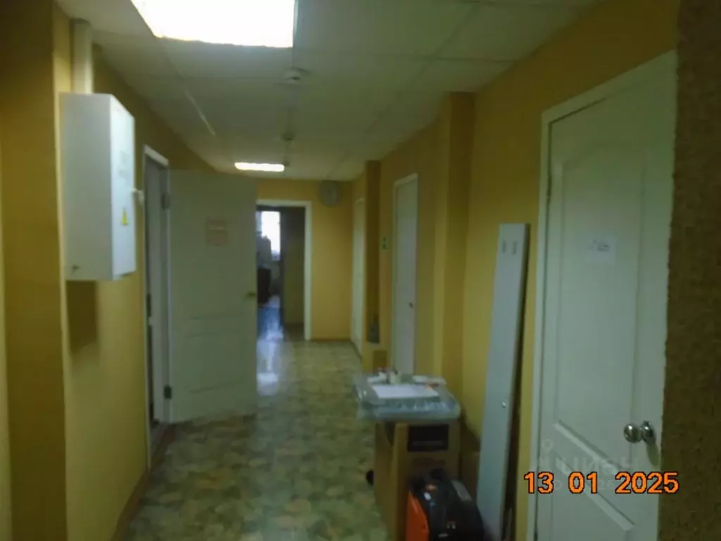 Помещение свободного назначения в Новосибирская область, Новосибирск ... - Фото 1