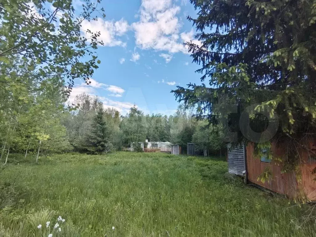 Участок 12 сот. (СНТ, ДНП) - Фото 0