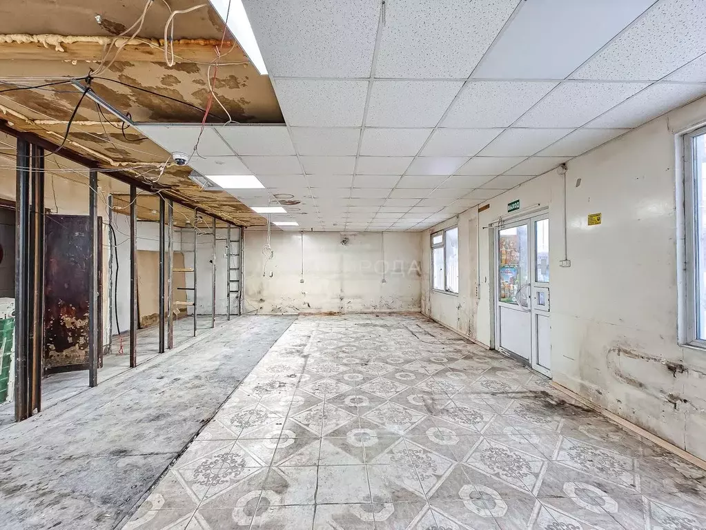 Помещение свободного назначения в Новосибирская область, Новосибирск ... - Фото 2