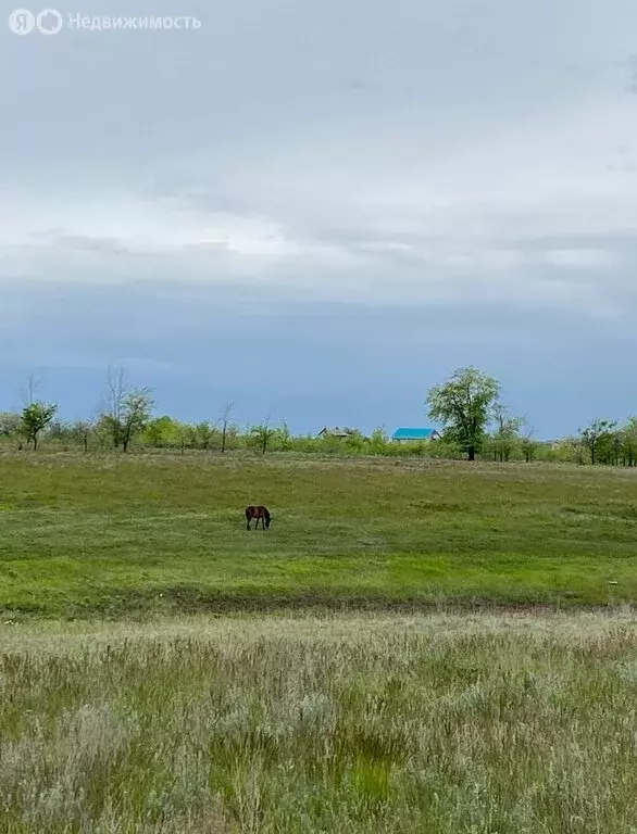 Участок в Волгоград, Яхтенная улица (7.5 м) - Фото 0