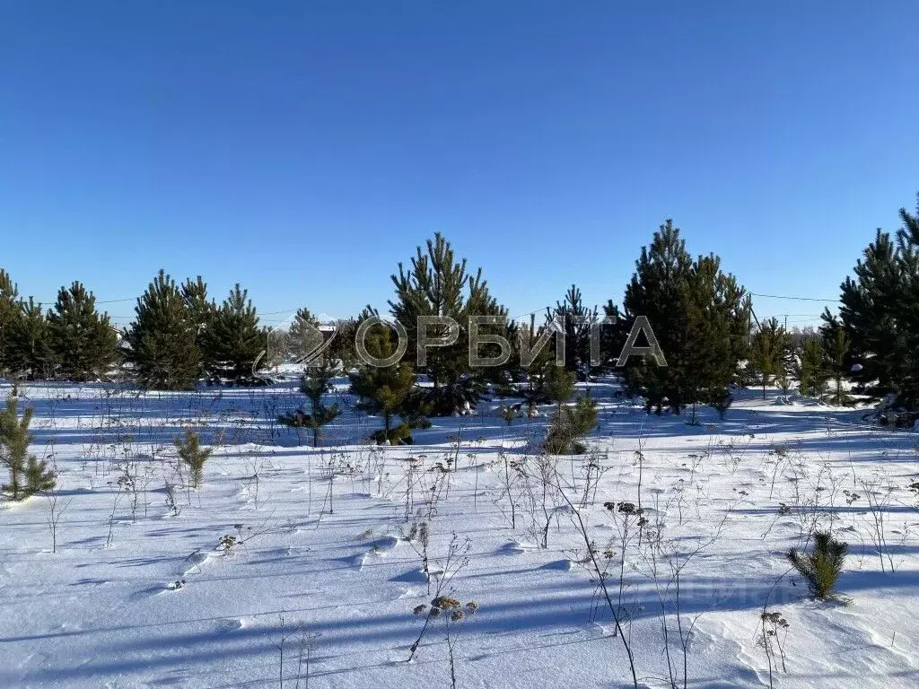 Участок в Тюменская область, Тюменский район, с. Каменка, Подушкино ... - Фото 1