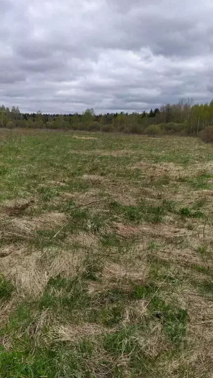 Участок в Московская область, Можайский муниципальный округ, д. ... - Фото 0