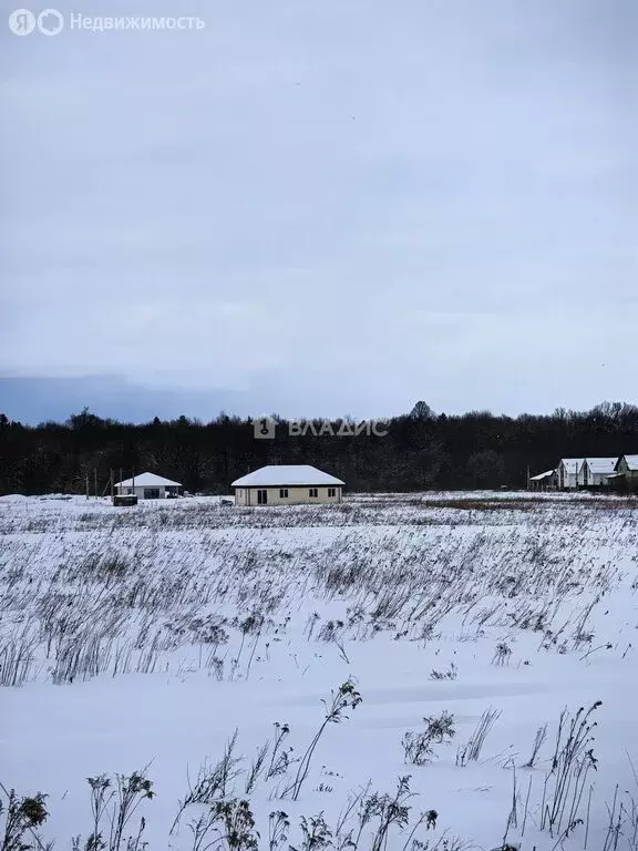 Участок в Калининградская область, Гурьевский муниципальный округ, ... - Фото 2
