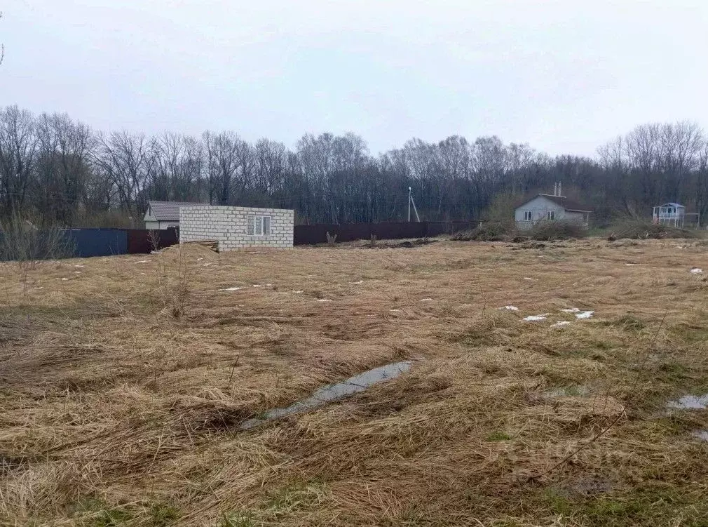 Участок в Московская область, Кашира городской округ, д. Тарасково  ... - Фото 2