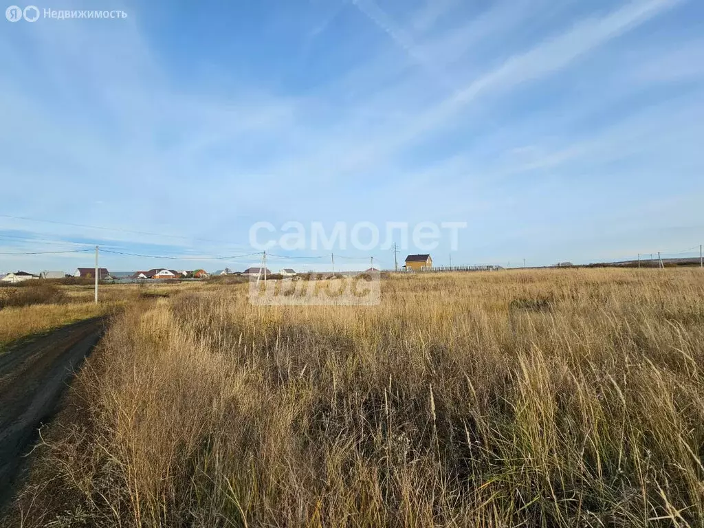 Участок в Засечный сельсовет, село Лебедёвка (10 м) - Фото 0