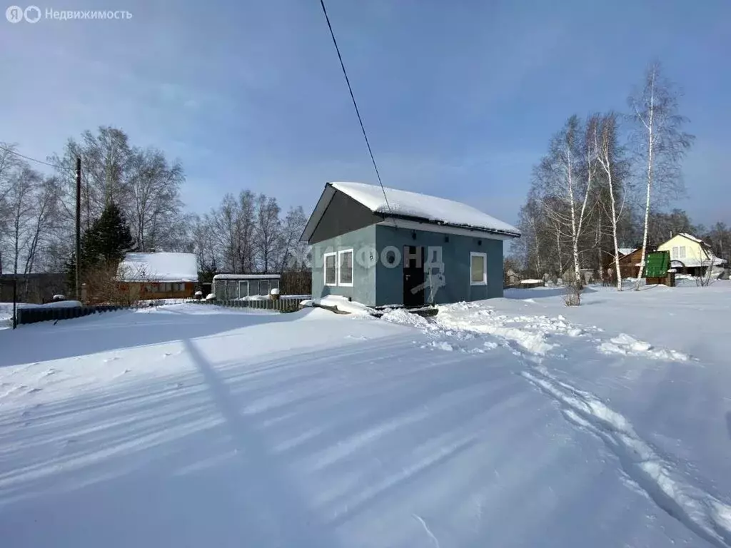 Дом в Барышевский сельсовет, СНТ Надежда-2 (51 м) - Фото 0