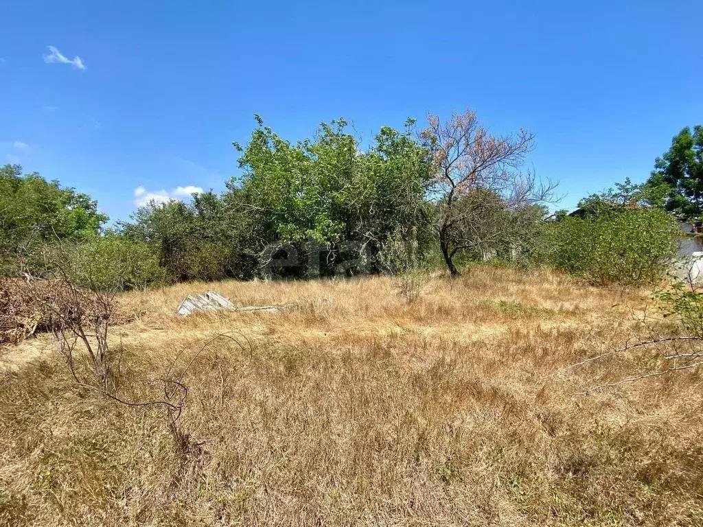 Участок в Севастополь с. Орлиное, ул. Платановая (11.24 сот.) - Фото 2