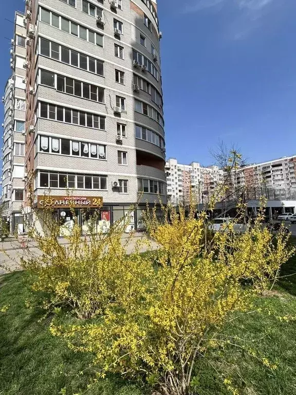 Студия Краснодарский край, Краснодар ул. Командорская, 5/1 (32.0 м) - Фото 2