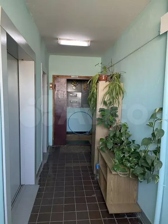 2-к. квартира, 54 м, 16/17 эт. - Фото 0