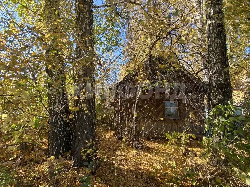 Дом в Новосибирская область, Новосибирск Березовая Роща СТ,  (20 м) - Фото 1