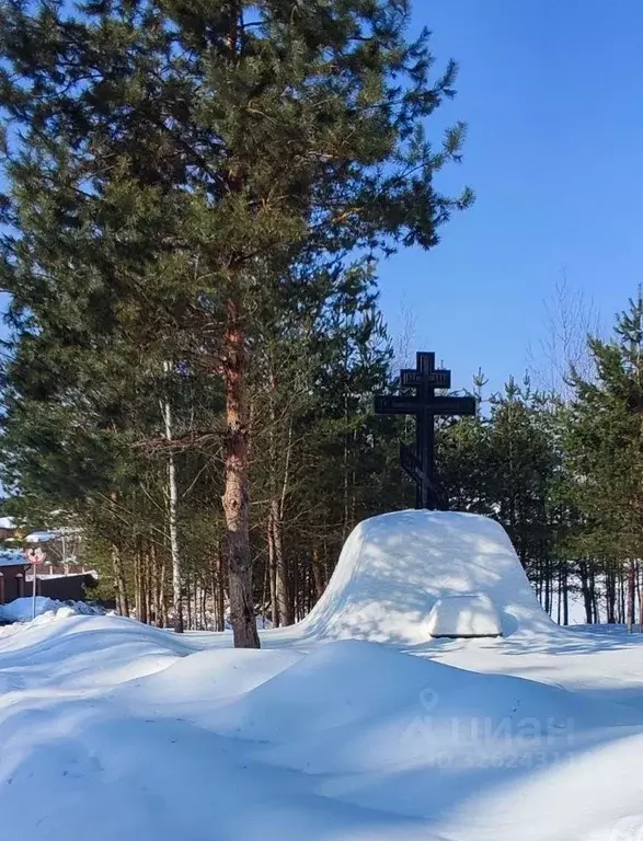 Участок в Калужская область, Калуга городской округ, д. Крутицы ул. ... - Фото 2