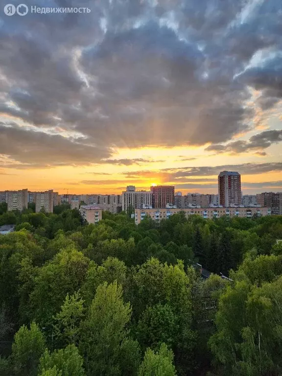 1-комнатная квартира: Москва, Кавказский бульвар, 10 (35.3 м) - Фото 0