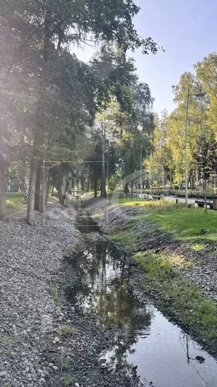 2-к кв. Воронежская область, Воронеж Советская ул., 53 (53.5 м) - Фото 1