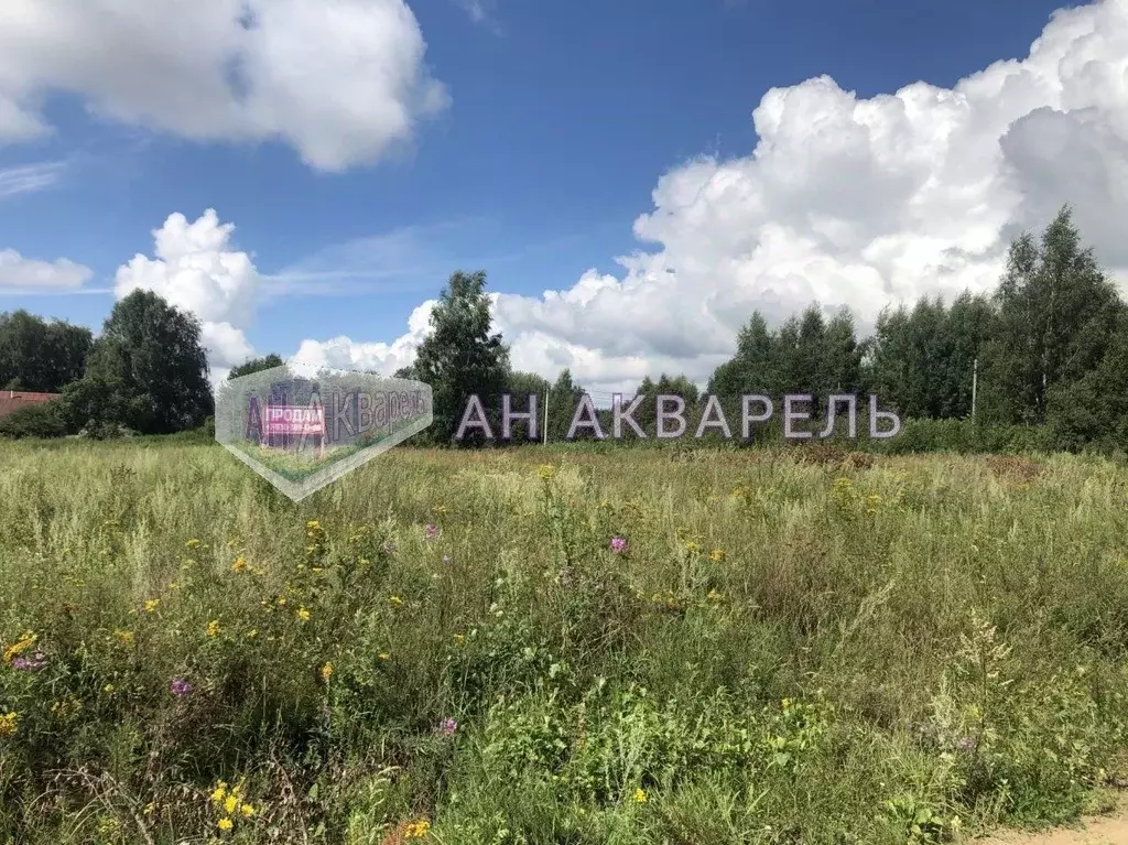 Участок в Костромская область, Красносельский район, Шолоховское ... - Фото 0