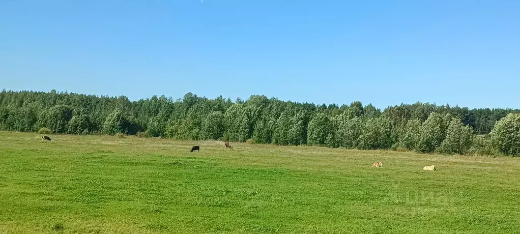 1-к кв. ленинградская область, тосненский район, рябовское городское . - Фото 1