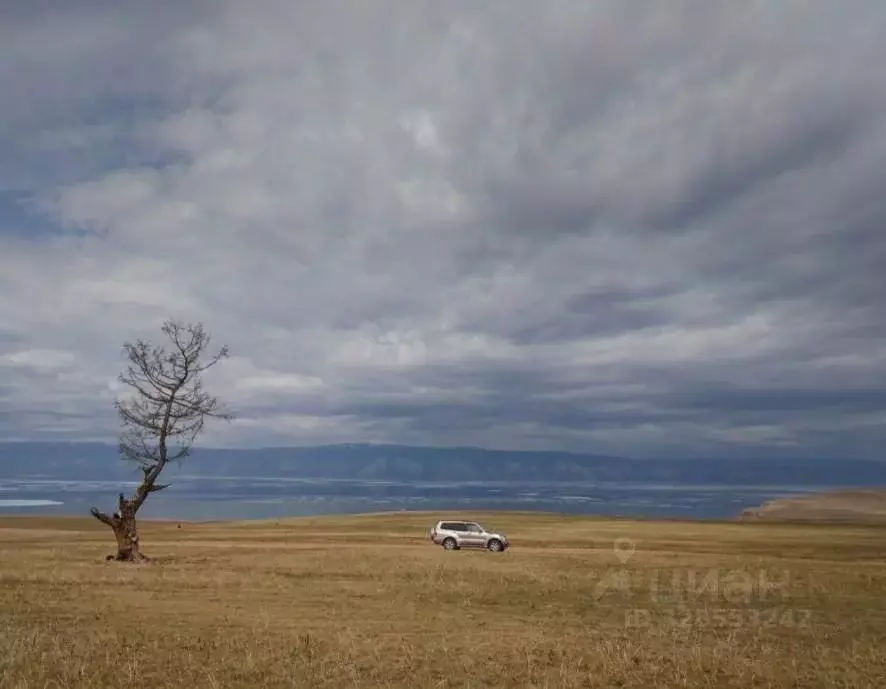 Участок в Иркутская область, Ольхонский район, Шара-Тоготское ... - Фото 1