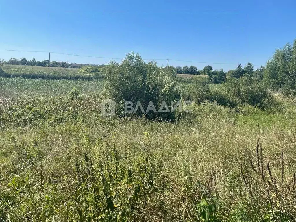 Участок в Тамбовская область, Тамбов городской округ, с. Бокино ул. ... - Фото 1