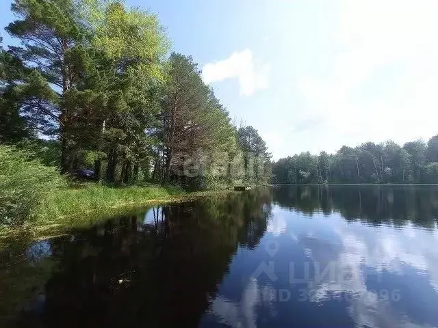 Дом в Тюменская область, Тобольский муниципальный округ, Ворогушинское ... - Фото 1