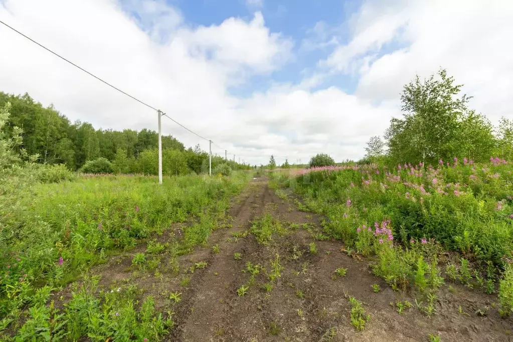 Участок в Тюменская область, Тюменский муниципальный округ, Каменское ... - Фото 1