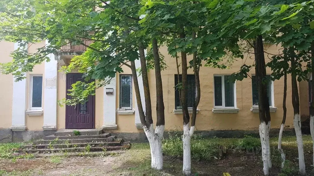 Помещение свободного назначения в Псковская область, Новоржев ул. ... - Фото 2