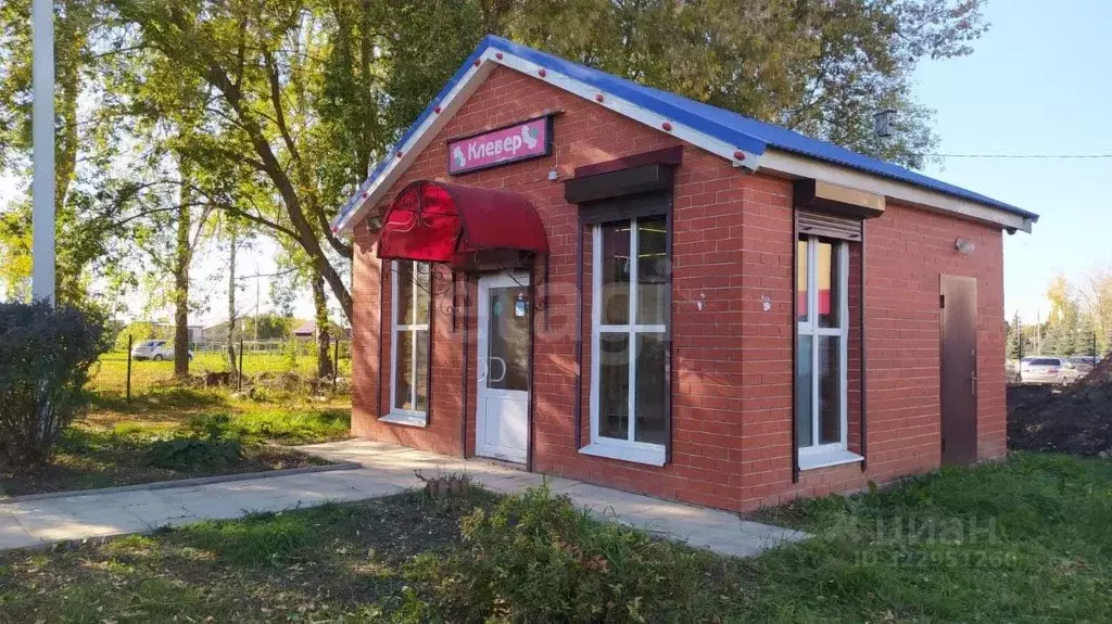 Торговая площадь в Нижегородская область, с. Починки ул. Заречная, 24 ... - Фото 1