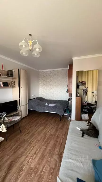 1-к кв. Калининградская область, Светлый Пионерская ул., 2 (33.8 м) - Фото 2