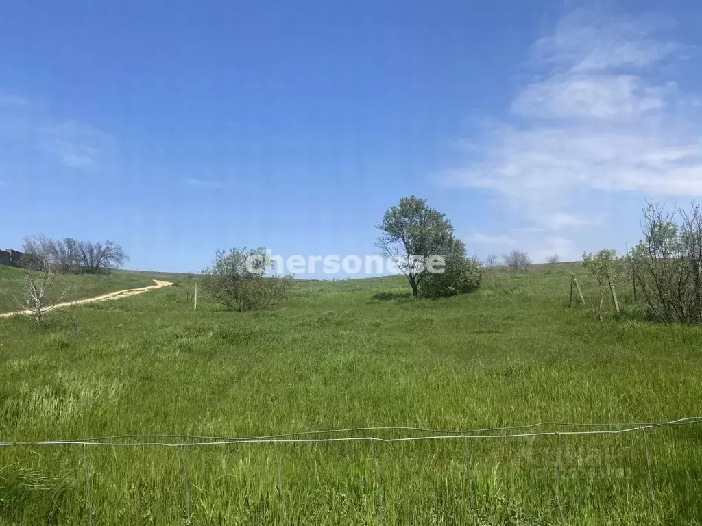 Участок в Севастополь с. Осипенко, пер. Виноградаря (10.0 сот.) - Фото 1