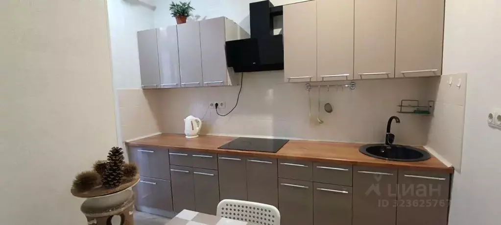 2-к кв. Краснодарский край, Сочи Курортный просп., 255 (49.2 м) - Фото 2