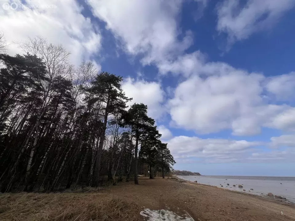 Участок в городской посёлок Лебяжье, улица Мира (105 м) - Фото 1