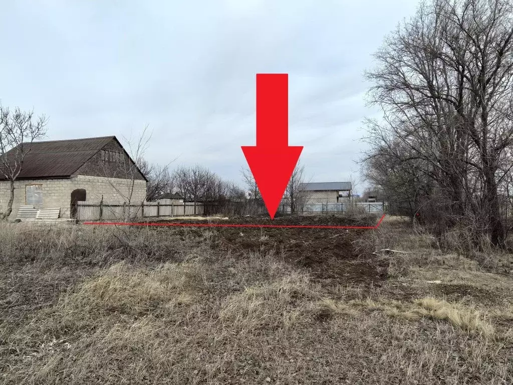 Участок в Волгоградская область, Городищенский район, Новожизненское ... - Фото 2
