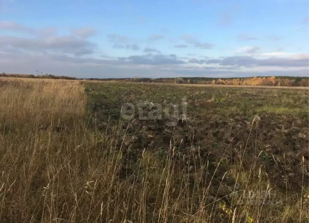 Участок в Курская область, Курский район, Моковский сельсовет, д. 1-я ... - Фото 1