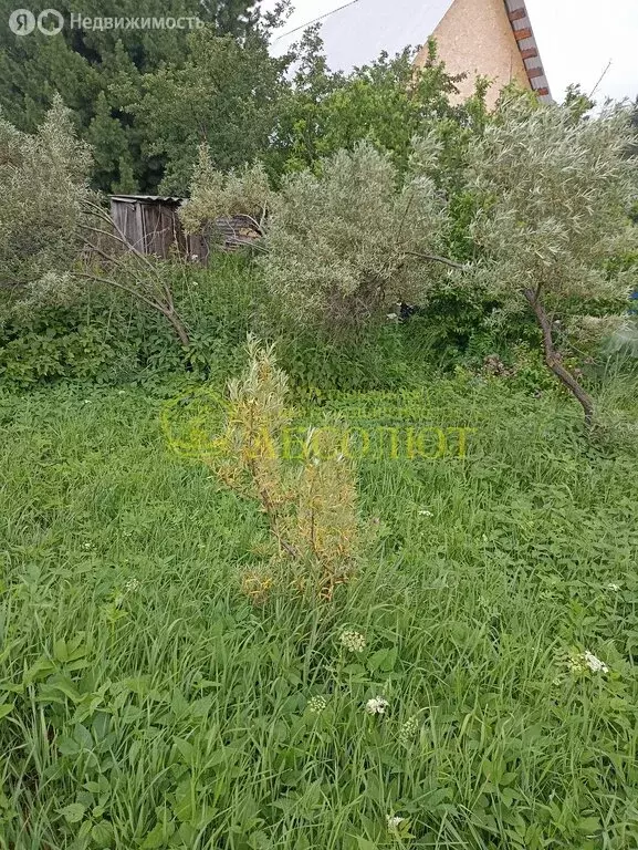 Участок в Ревда, садово-огородническое товарищество Восток (6.8 м) - Фото 1
