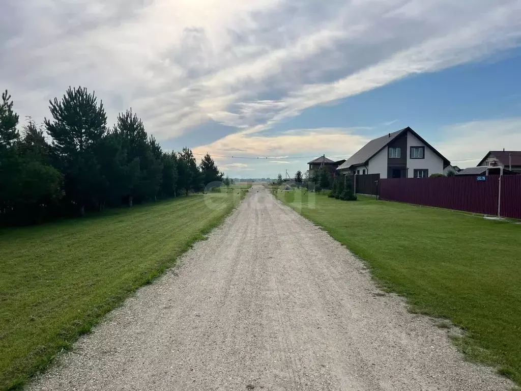 Участок в Новосибирская область, Новосибирский район, Толмачевский ... - Фото 1